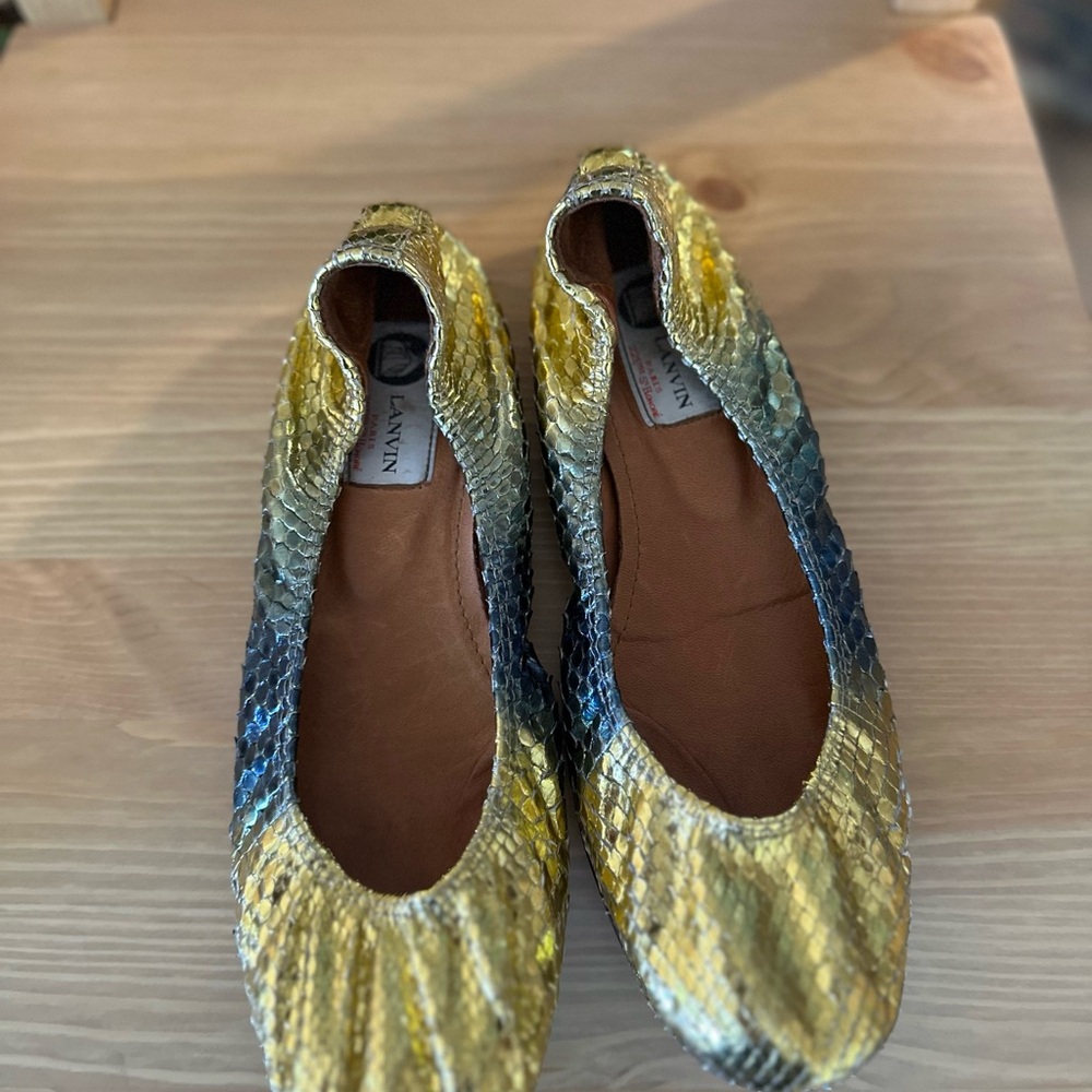 Lanvin Exotic Ballet Flats - Picture 4 of 10